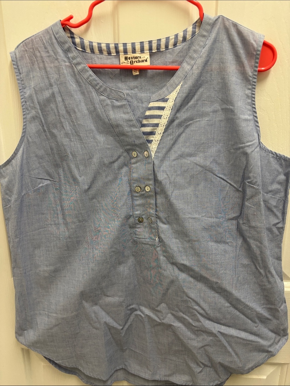 Hester & Orchard Blue Sleeveless Button Front Top